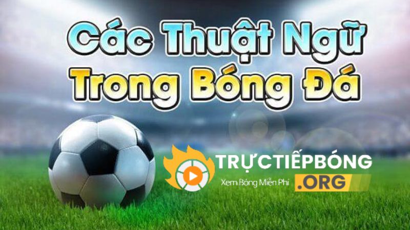 Các thuật ngự trong cá độ bóng đá hiện nay