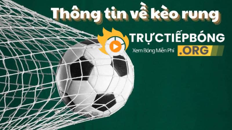Hướng dẫn chi tiết về kèo rung và tỷ lệ kèo