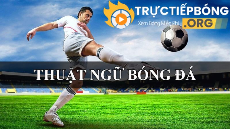 Tìm hiểu về thuật ngữ bóng đá là gì